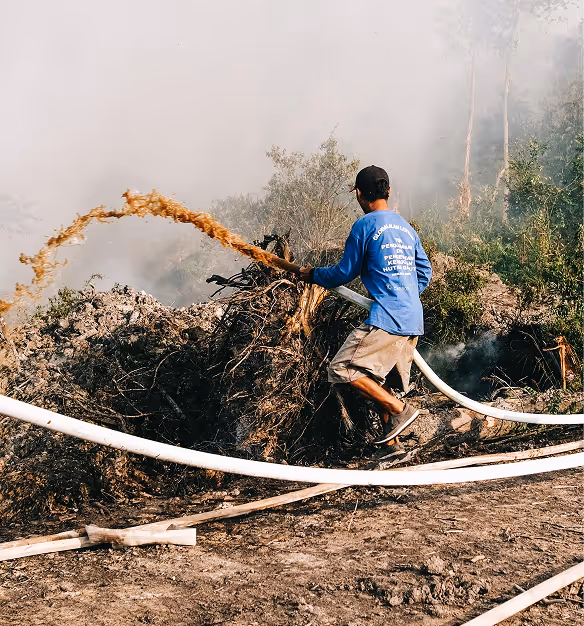 Strengthening Rubber Value Chains